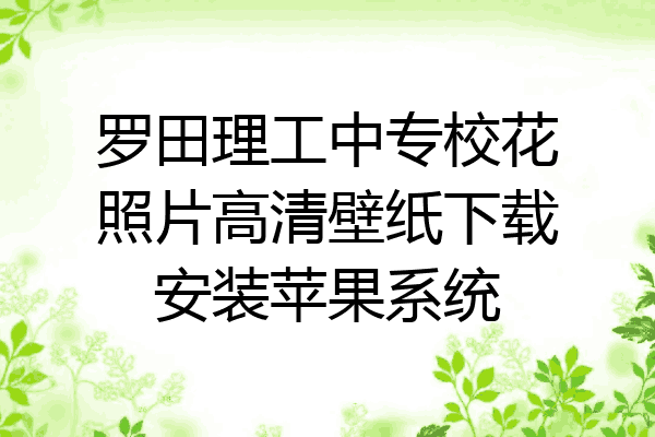 罗田理工中专校花照片高清壁纸下载安装苹果系统