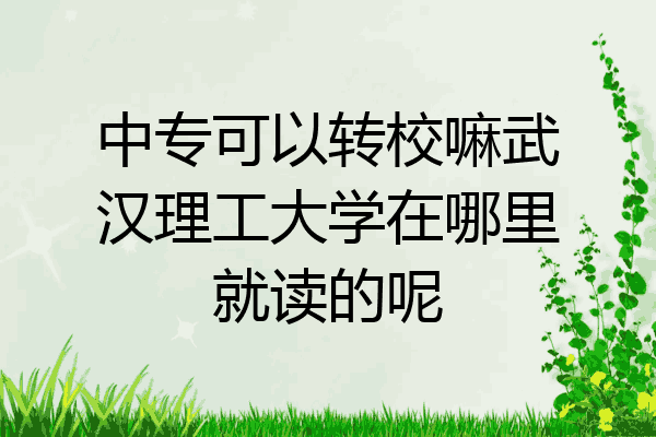 中专可以转校嘛武汉理工大学在哪里就读的呢