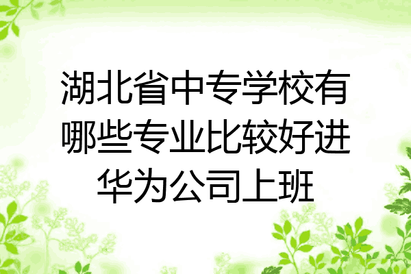 湖北省中专学校有哪些专业比较好进华为公司上班