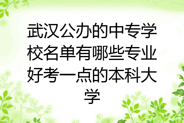 武汉公办的中专学校名单有哪些专业好考一点的本科大学