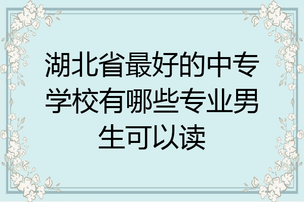 湖北省最好的中专学校有哪些专业男生可以读