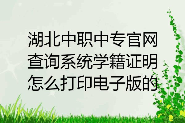 湖北中职中专官网查询系统学籍证明怎么打印电子版的