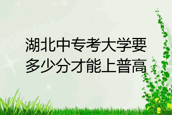 湖北中专考大学要多少分才能上普高