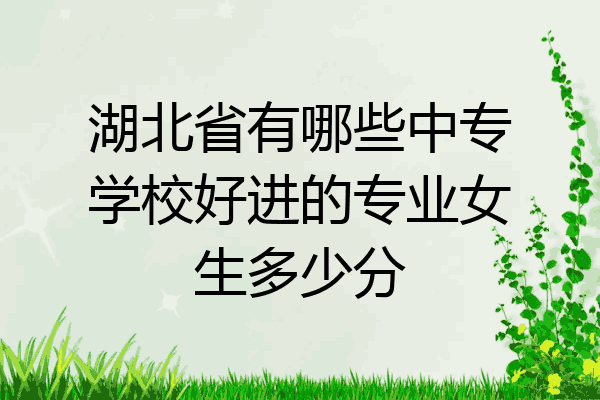 湖北省有哪些中专学校好进的专业女生多少分
