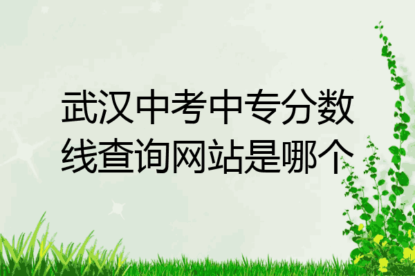 武汉中考中专分数线查询网站是哪个