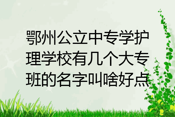 鄂州公立中专学护理学校有几个大专班的名字叫啥好点
