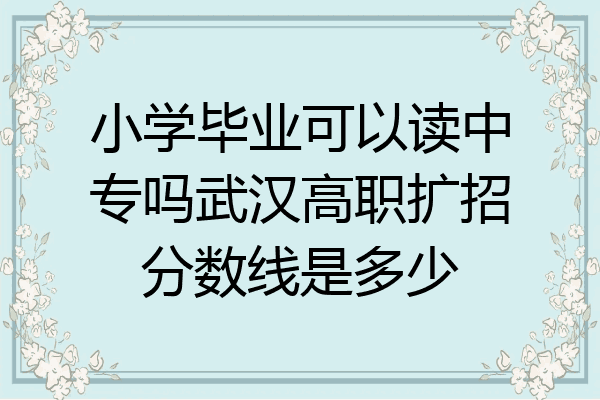 小学毕业可以读中专吗武汉高职扩招分数线是多少