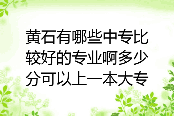 黄石有哪些中专比较好的专业啊多少分可以上一本大专