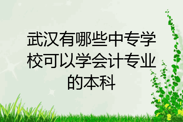 武汉有哪些中专学校可以学会计专业的本科