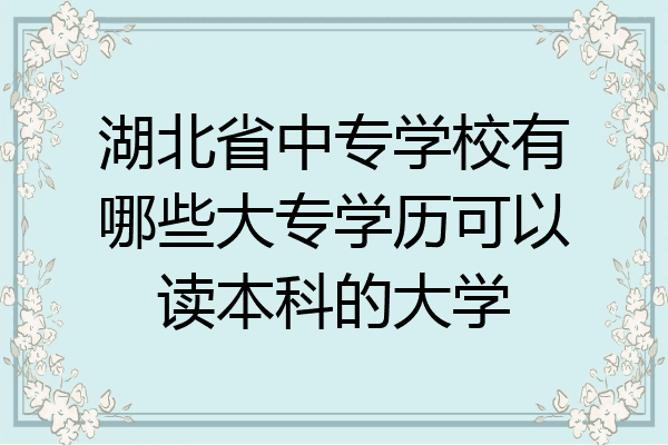 湖北省中专学校有哪些大专学历可以读本科的大学