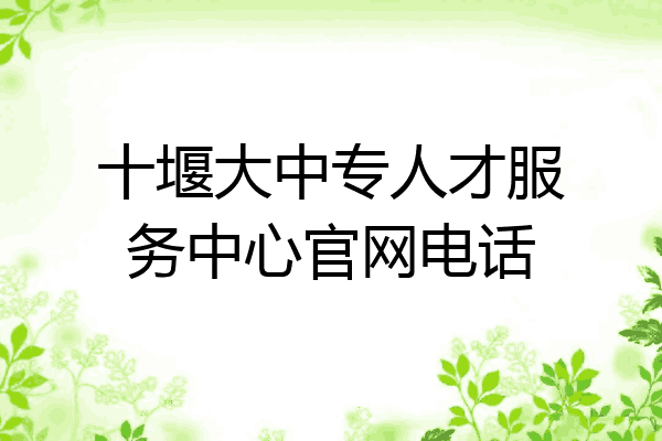 十堰大中专人才服务中心官网电话