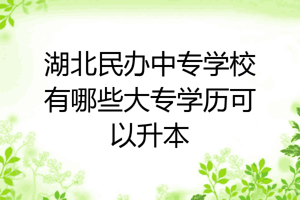 湖北民办中专学校有哪些大专学历可以升本