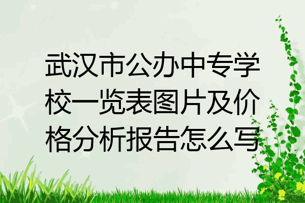 武汉市公办中专学校一览表图片及价格分析报告怎么写