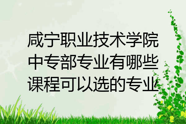 咸宁职业技术学院中专部专业有哪些课程可以选的专业