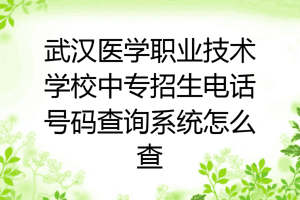 武汉医学职业技术学校中专招生电话号码查询系统怎么查