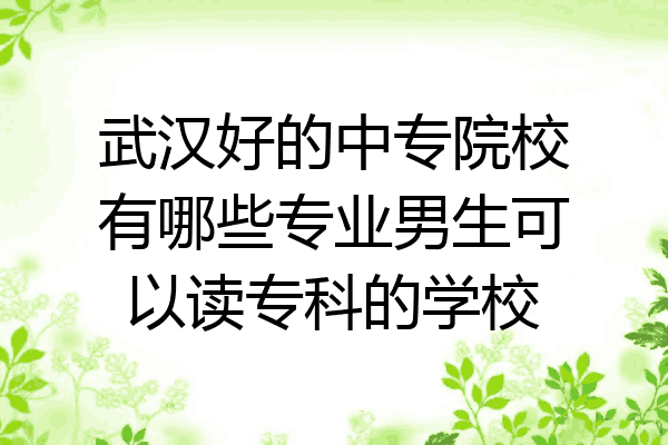 武汉好的中专院校有哪些专业男生可以读专科的学校