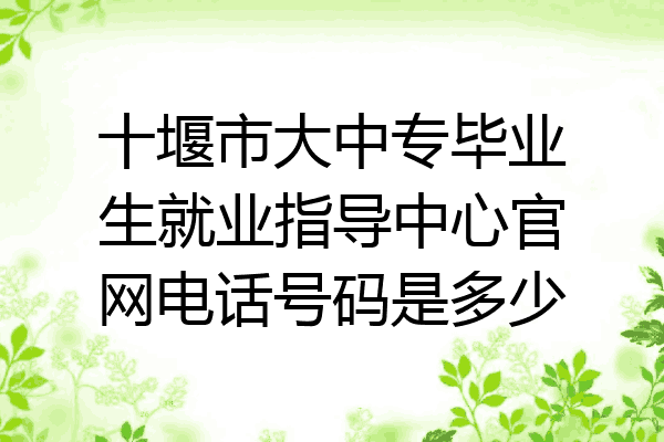 十堰市大中专毕业生就业指导中心官网电话号码是多少