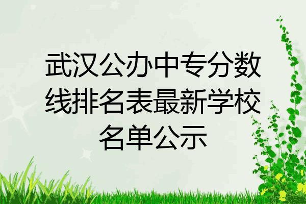 武汉公办中专分数线排名表最新学校名单公示