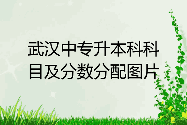 武汉中专升本科科目及分数分配图片