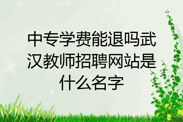 中专学费能退吗武汉教师招聘网站是什么名字