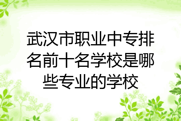 武汉市职业中专排名前十名学校是哪些专业的学校