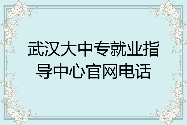 武汉大中专就业指导中心官网电话