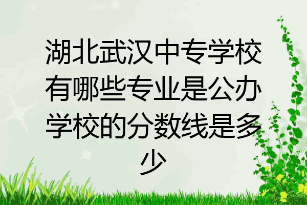 湖北武汉中专学校有哪些专业是公办学校的分数线是多少