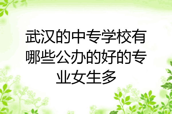 武汉的中专学校有哪些公办的好的专业女生多