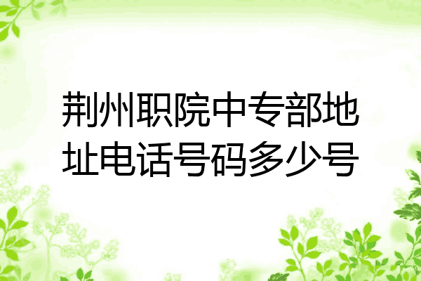 荆州职院中专部地址电话号码多少号