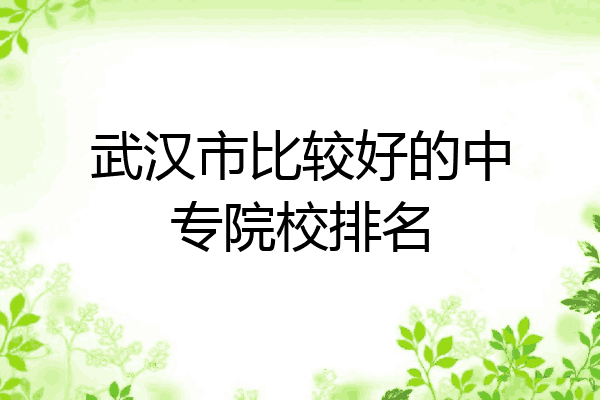 武汉市比较好的中专院校排名
