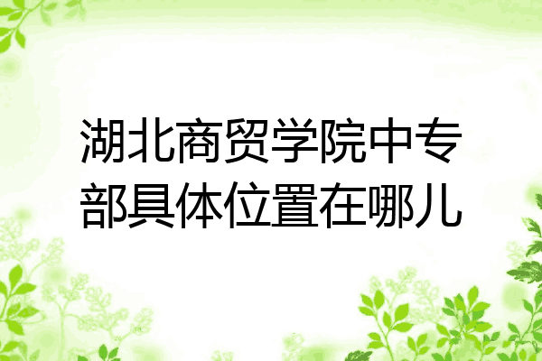 湖北商贸学院中专部具体位置在哪儿
