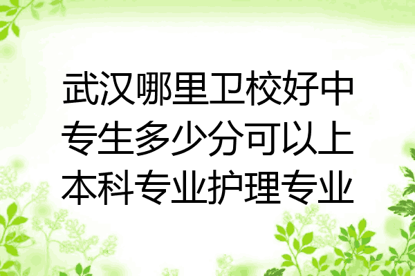 武汉哪里卫校好中专生多少分可以上本科专业护理专业