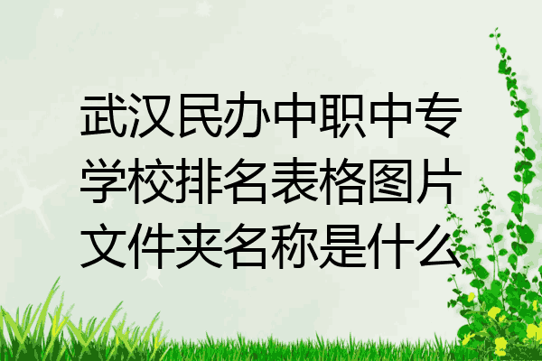 武汉民办中职中专学校排名表格图片文件夹名称是什么