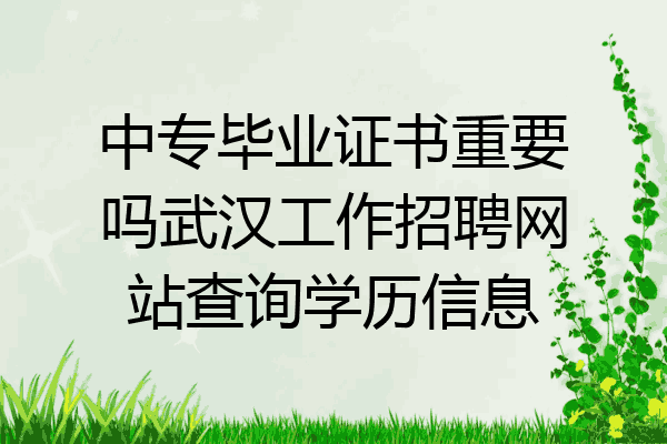 中专毕业证书重要吗武汉工作招聘网站查询学历信息