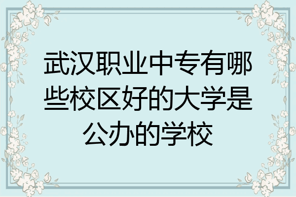 武汉职业中专有哪些校区好的大学是公办的学校