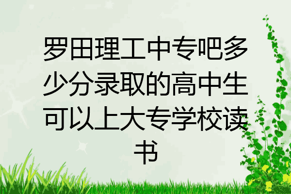 罗田理工中专吧多少分录取的高中生可以上大专学校读书