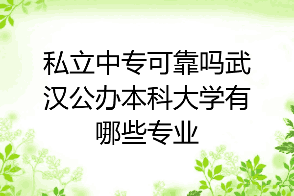私立中专可靠吗武汉公办本科大学有哪些专业