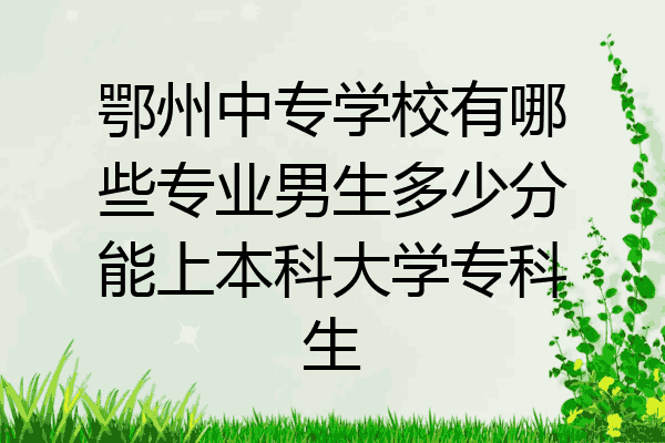 鄂州中专学校有哪些专业男生多少分能上本科大学专科生