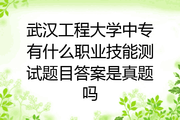 武汉工程大学中专有什么职业技能测试题目答案是真题吗