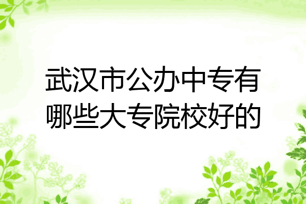 武汉市公办中专有哪些大专院校好的