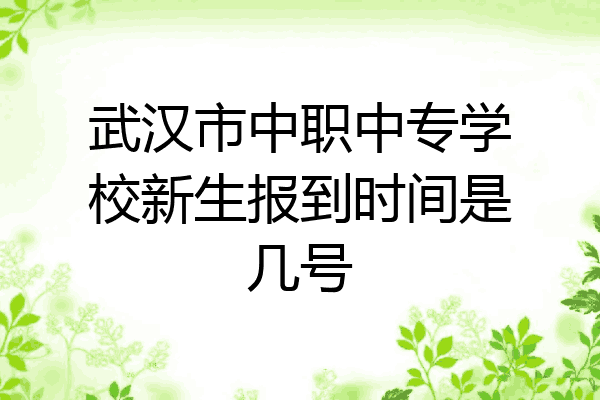武汉市中职中专学校新生报到时间是几号