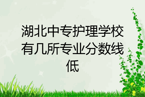 湖北中专护理学校有几所专业分数线低