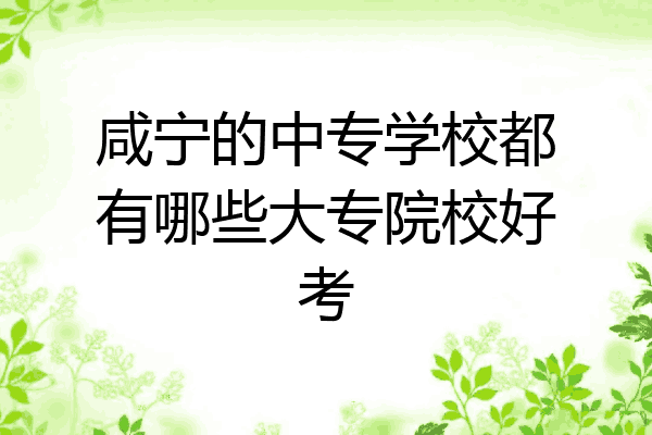 咸宁的中专学校都有哪些大专院校好考