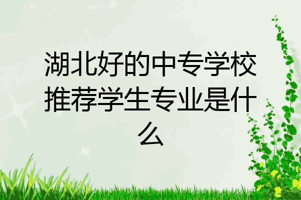 湖北好的中专学校推荐学生专业是什么