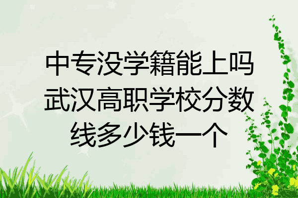 中专没学籍能上吗武汉高职学校分数线多少钱一个