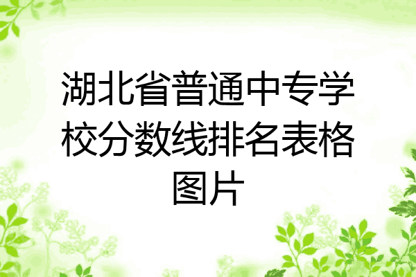 湖北省普通中专学校分数线排名表格图片