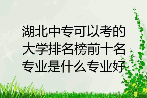 湖北中专可以考的大学排名榜前十名专业是什么专业好