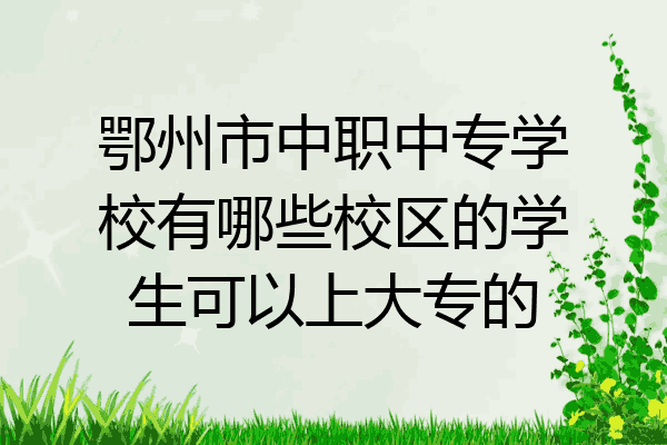 鄂州市中职中专学校有哪些校区的学生可以上大专的