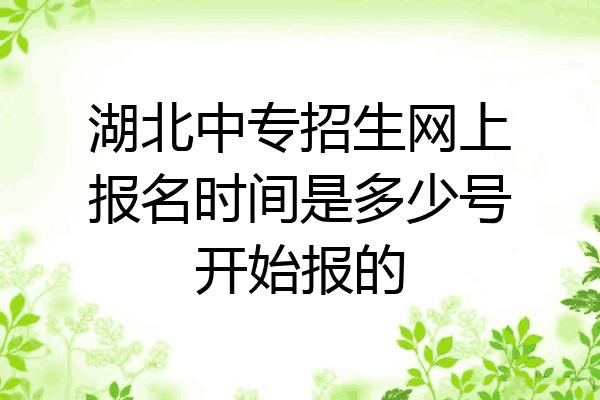 湖北中专招生网上报名时间是多少号开始报的
