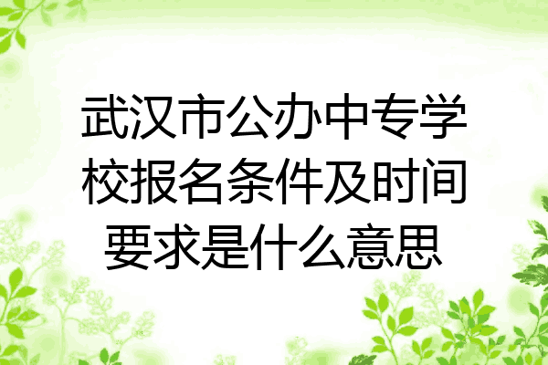武汉市公办中专学校报名条件及时间要求是什么意思
